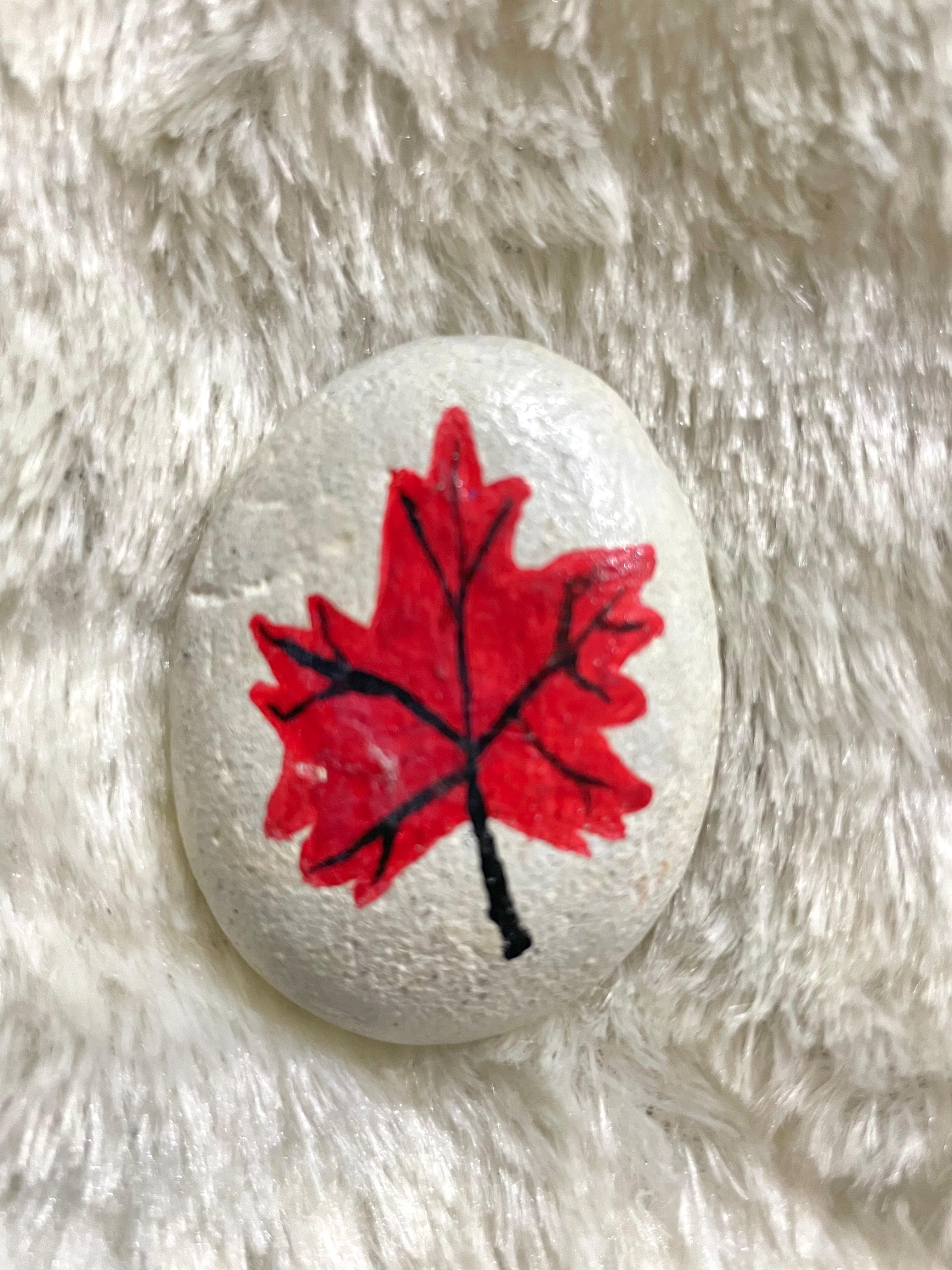 Maple, full view